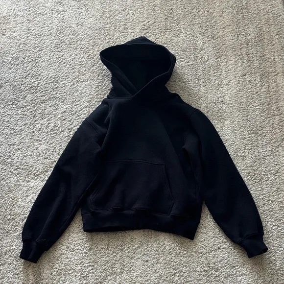 Aritzia Cozy Sweatfleece Perfect Hoodie - Picture 5 of 7